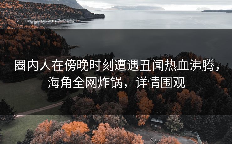 圈内人在傍晚时刻遭遇丑闻热血沸腾，海角全网炸锅，详情围观