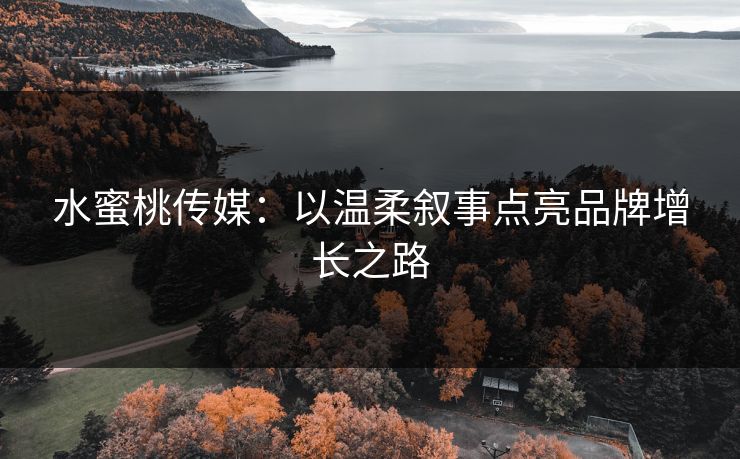 水蜜桃传媒：以温柔叙事点亮品牌增长之路