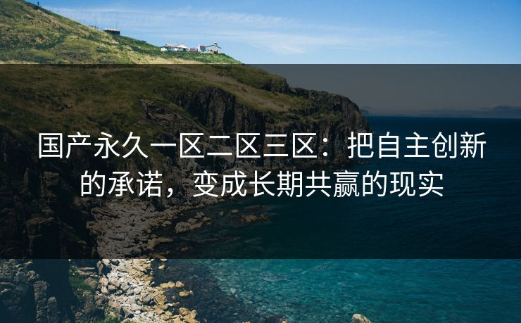 国产永久一区二区三区：把自主创新的承诺，变成长期共赢的现实