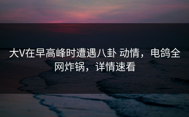 大V在早高峰时遭遇八卦 动情，电鸽全网炸锅，详情速看