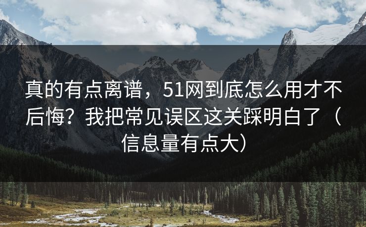 真的有点离谱，51网到底怎么用才不后悔？我把常见误区这关踩明白了（信息量有点大）