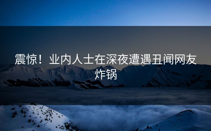 震惊！业内人士在深夜遭遇丑闻网友炸锅