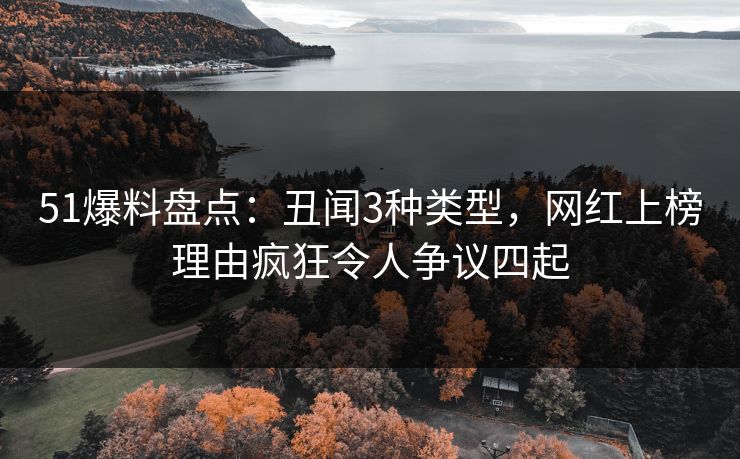 51爆料盘点：丑闻3种类型，网红上榜理由疯狂令人争议四起