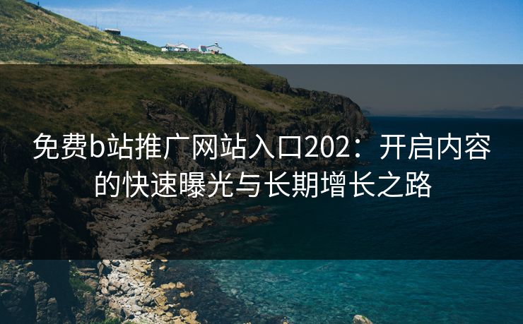 免费b站推广网站入口202：开启内容的快速曝光与长期增长之路