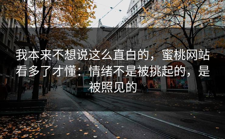 我本来不想说这么直白的，蜜桃网站看多了才懂：情绪不是被挑起的，是被照见的
